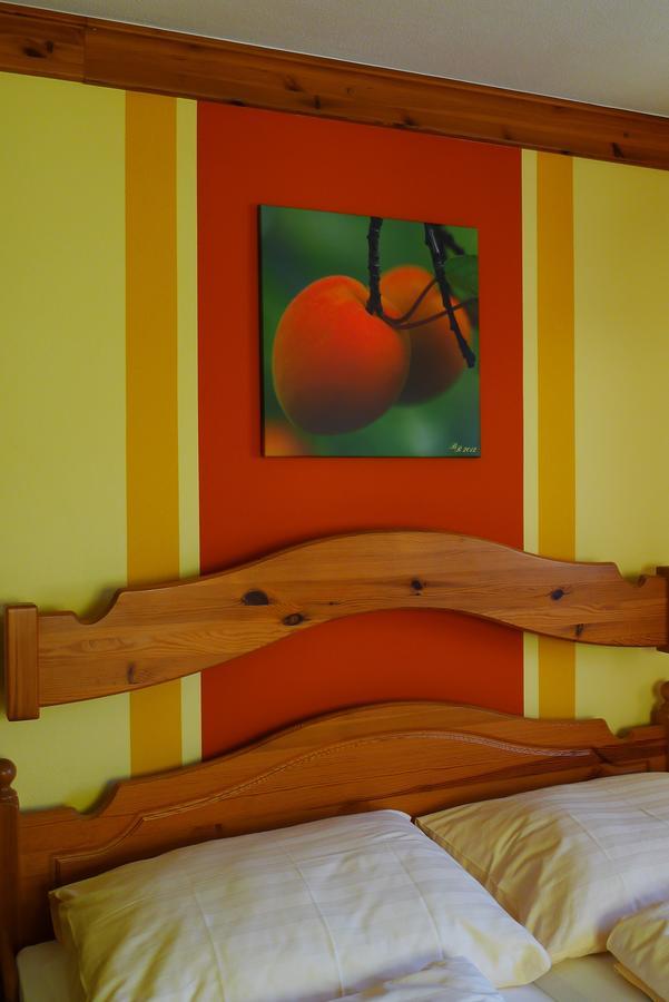 Hotel Garni Weinberghof & Weingut Lagler Spitz an der Donau Екстериор снимка